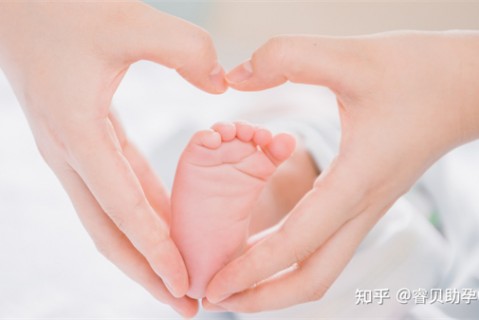 http://chengdu.nbgk120.com/post/197.html|成都捐卵费用
