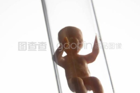 http://chengdu.nbgk120.com/post/206.html|成都新闻中心