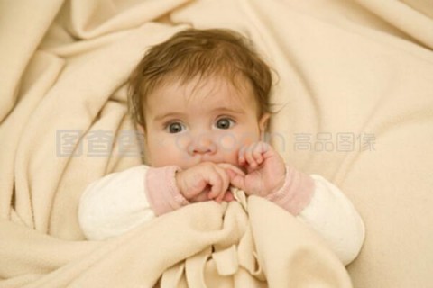 http://chengdu.nbgk120.com/post/188.html|成都新闻中心